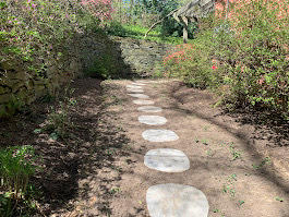 Stone stepping stones lead through a lush garden pathway